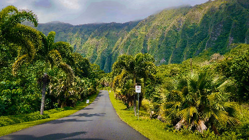 Hawaii 22-30 Maj 2026